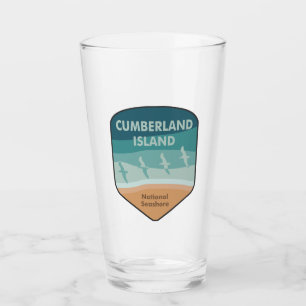 Copo De Pint Cumberland Island National Seashore Seagulls