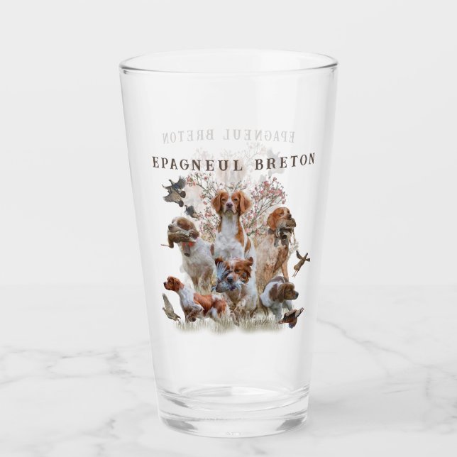 Copo De Pint Epagneul Breton, Bretanha Spaniel (Frente)