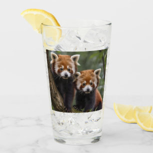 Copo De Pint Exploradores de Árvore: Pandas Vermelhas Bebidas O