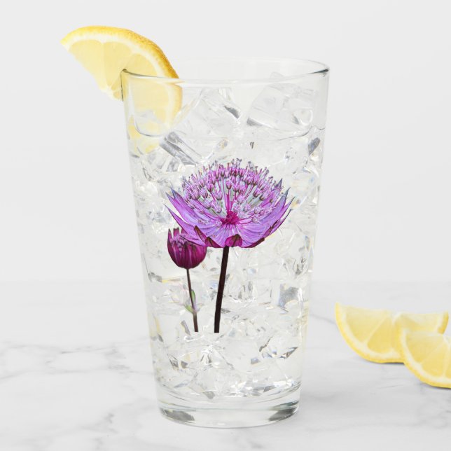 Copo De Pint Flor de Astrantia Rosa Floral (Gelo frontal)