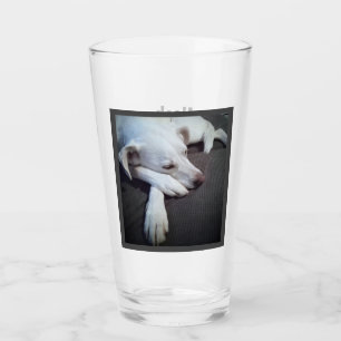 Copo De Pint Foto de Cão Dormindo Recuperação Rápida