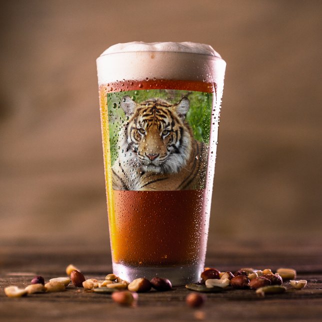 Copo De Pint Foto do Grande Gato Sumatran Tiger (In Situ Beer)