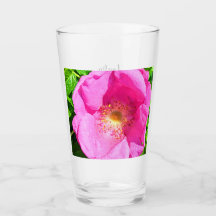 Foto Rosa Rosa Selvagem Fidedigna no Verso da Bíbl