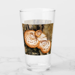 COPO DE PINT FUNGI