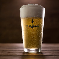Futebol da Bélgica