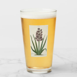 Copo De Pint Hyacinth Flower (por Johann Michael Seligmann)