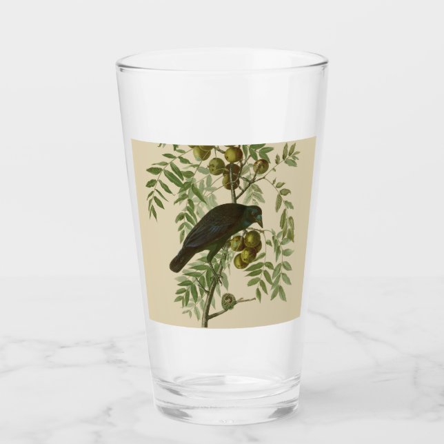 Copo De Pint Impressão de pássaro rouxinol-púrpura de Audubon V (Frente)