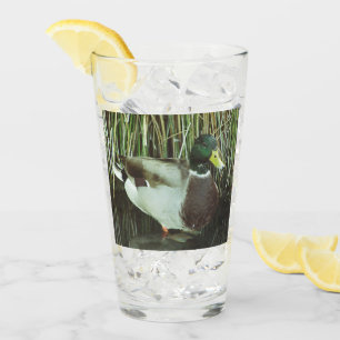 Copo De Pint Mallard Duck Foto do Outdoorsman Lake Bird