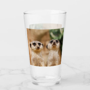 Copo De Pint Meerkat 017