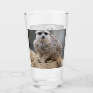 Copo De Pint Meerkat 021