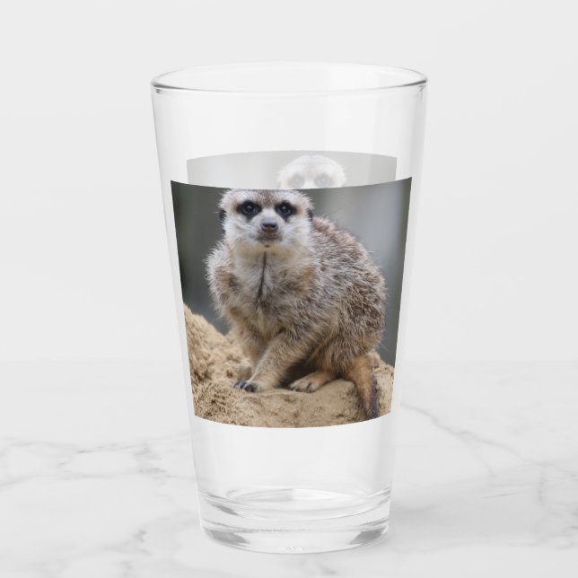 Copo De Pint Meerkat 021 (Frente)