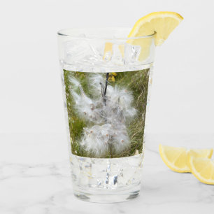 Copo De Pint Milkweed   Borboleta  