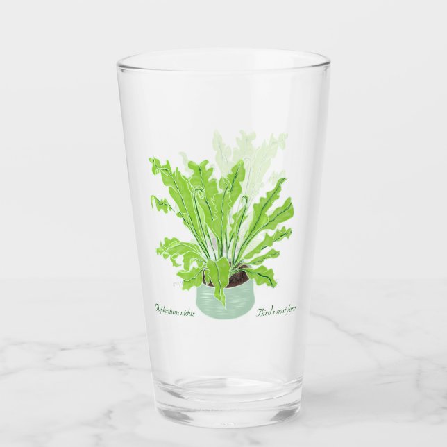 Copo De Pint Ninho de Asplenium Bird - desenhando em branco. (Frente)