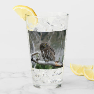 Copo De Pint Norte Pygmy Owl