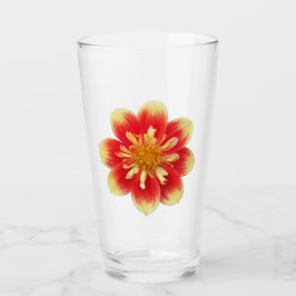 Copo De Pint Orange Collarette Dahlia Bloom Floral