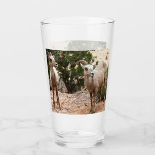 Copo De Pint Ovelha Engraçada no Parque Nacional do Zion
