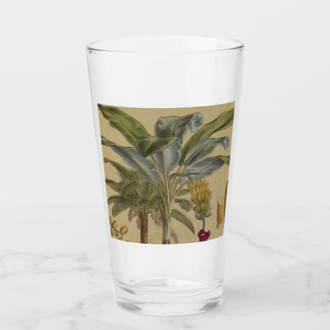 Copo De Pint Palm Antique Fruta Tropical Arte Botânica (Frente)