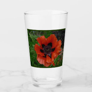 Copo De Pint papoila oriental