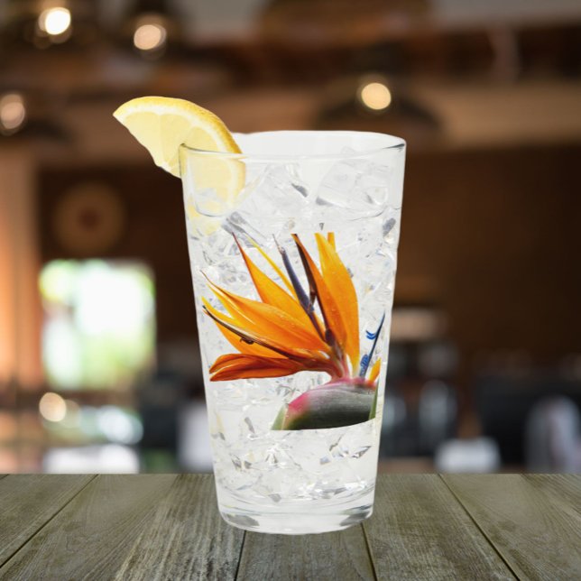 Copo De Pint Pássaro Tropical da Planta do Paraíso Floral (In Situ)