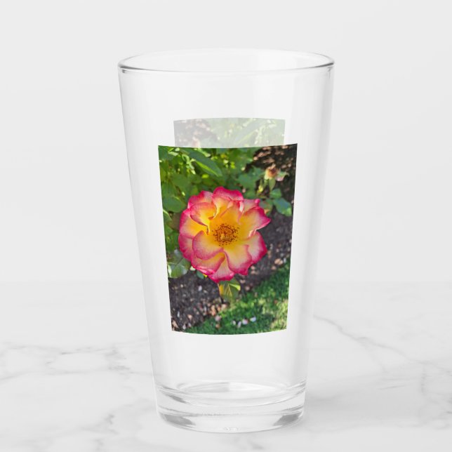 Copo De Pint Pink Yellow Rose Glass (Frente)