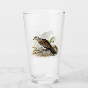 Copo De Pint Pombo Rola Streptopelia Pintura Natureza Pássaros