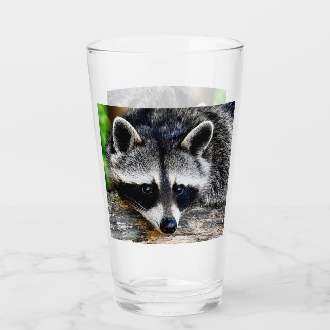 Copo De Pint Raccoon 003 (Frente)