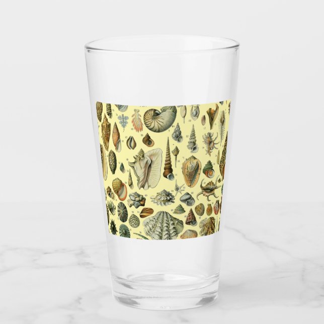 Copo De Pint Seashell Shell Mollusk Clam Elegant Clam Art (Frente)