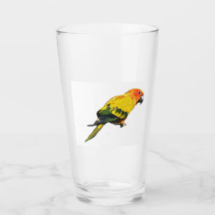 Copo De Pint Sun Conure