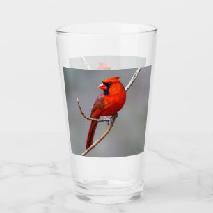 Copo De Pint Tumbler de vidro cardinal do norte