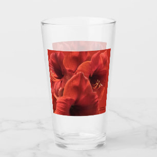 Copo De Pint Vermelho Amarllyis agrupado em um vidro