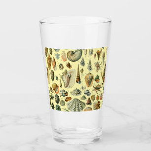 Copo De Pint Vintage Mollusk Shell Seashell Art