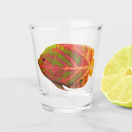 Copo De Shot Aspen Peixe Tropical 1
