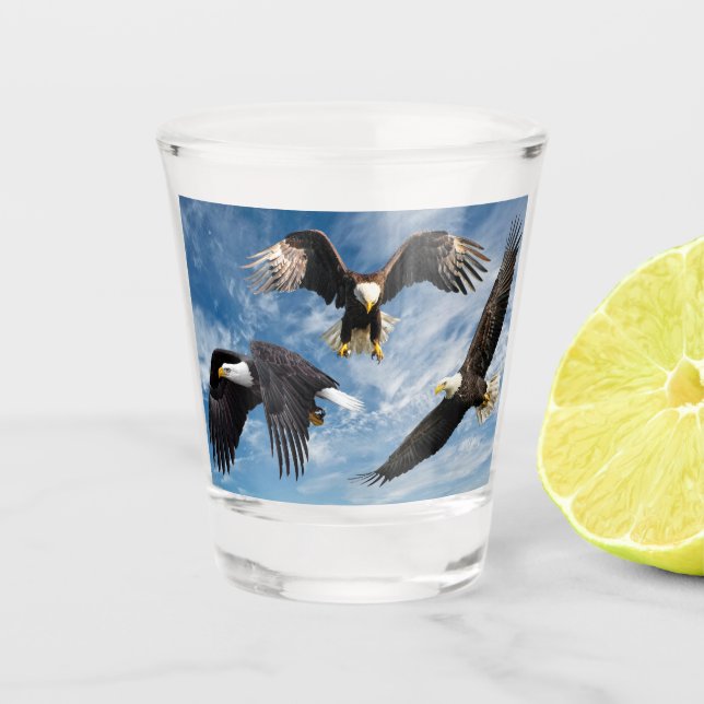 Copo De Shot Bald Eagle Soaring (Frente)