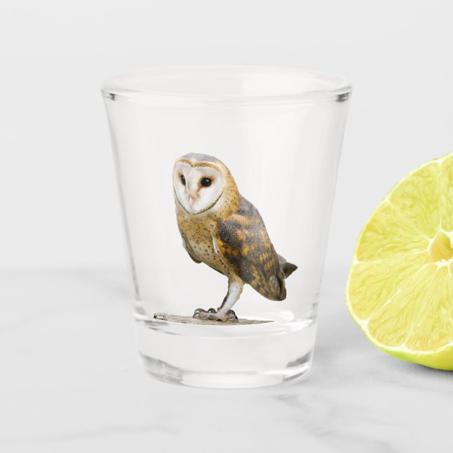 Copo De Shot Barn Owl (Frente)