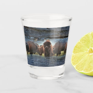 Copo De Shot Buffalo Herd