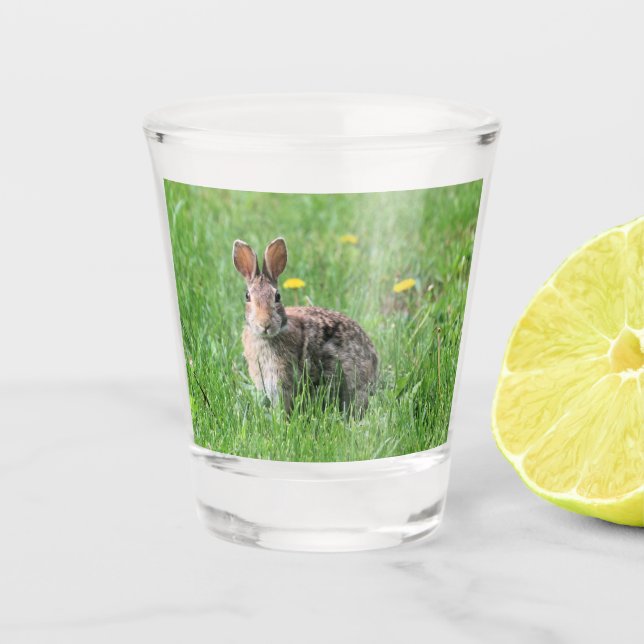 Copo De Shot Bunny (Frente)