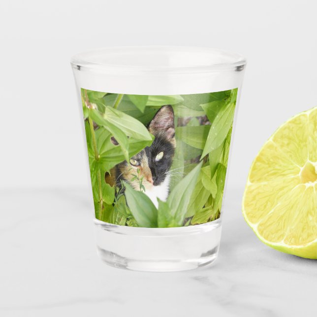 Copo De Shot Calico Cat nos Zinnias (Frente)