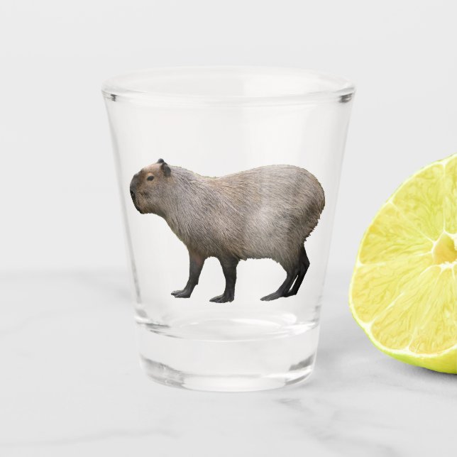 Copo De Shot Capybara (Frente)
