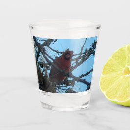 Copo De Shot Cardinal