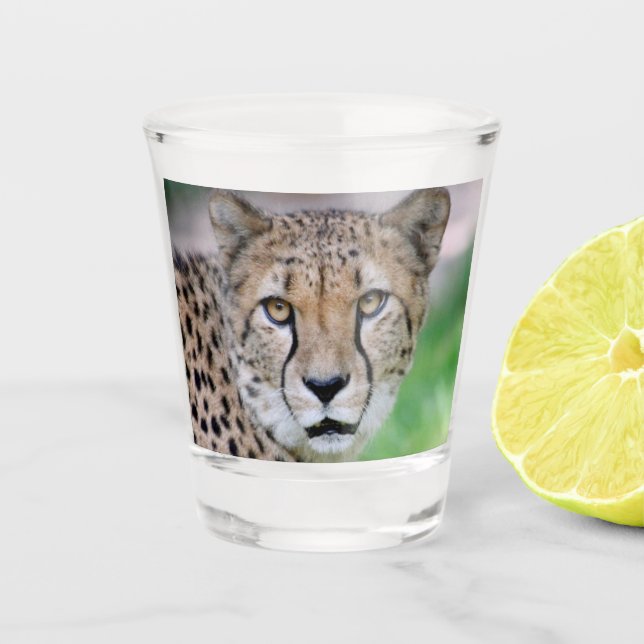 Copo De Shot Cheetah 009 (Frente)
