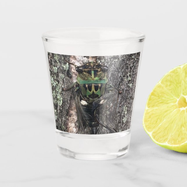 Copo De Shot Cicada Shot Glass (Frente)