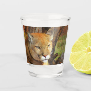 Copo De Shot Cougar / Pantera da Flórida / Vidro Fotografado P