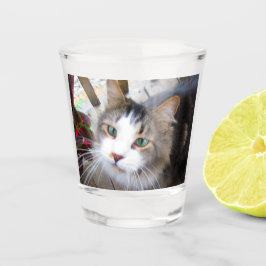 Copo De Shot Crie facilmente o seu próprio adicionar foto perso
