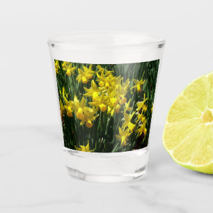Copo De Shot Daffodils Amarelos I Flores De Mola Cheery