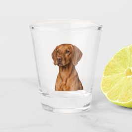 Copo de Shot de Cachorro Vizsla