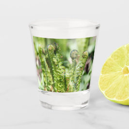 Copo De Shot Despertar de samambaia jovem no jardim  