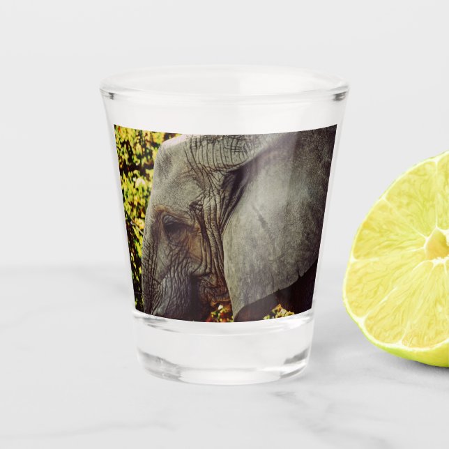 Copo De Shot Elefante majestoso (Frente)