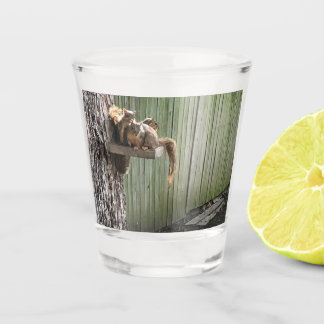 Copo De Shot Esquilo