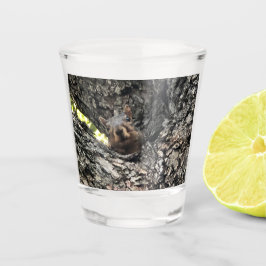 Copo De Shot Esquilo