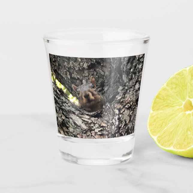 Copo De Shot Esquilo (Frente)